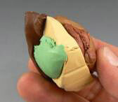 multiple colors of polymer clay
